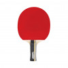 Racheta pentru tennis Spokey WINNER 6*